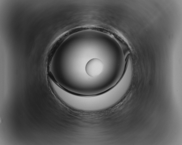 X0000094941456200712061221