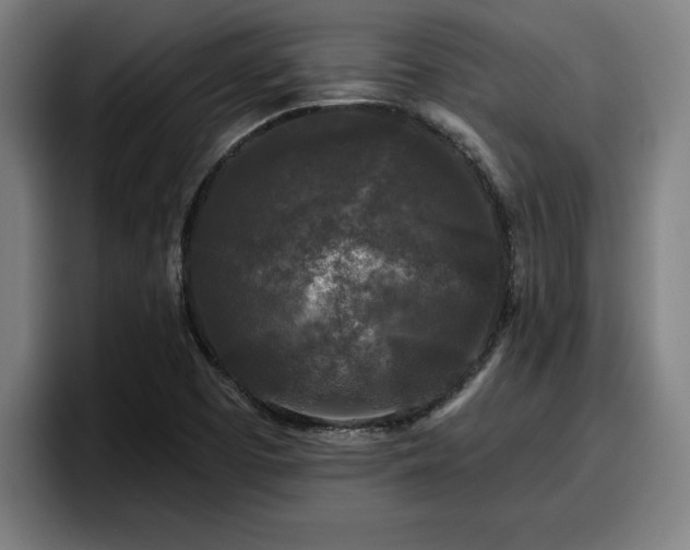 X0000094941457200712061221