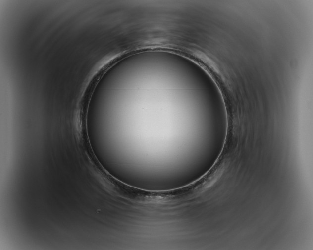 X0000094941458200712061221