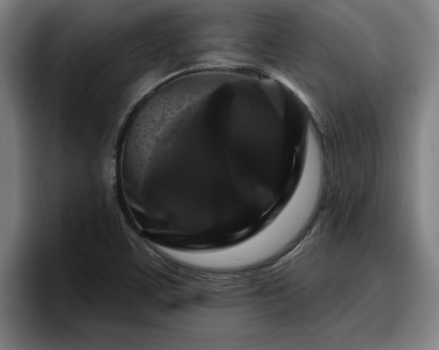 X0000094941459200712061221