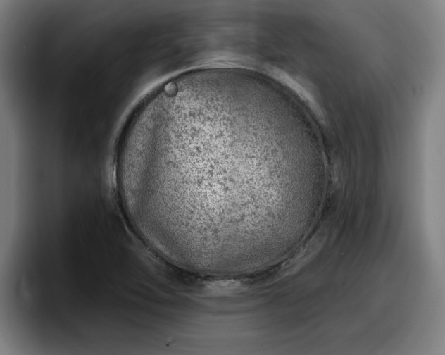 X0000094941462200712061221