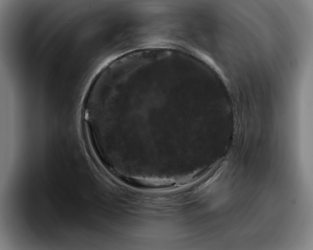 X0000094941463200712061221