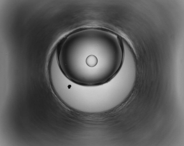 X0000094941464200712061221