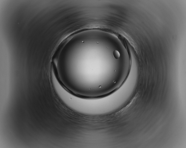 X0000094941465200712061221