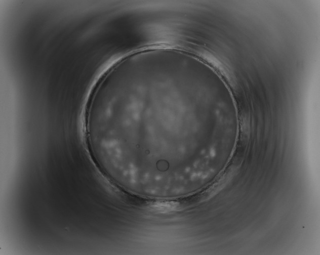 X0000094941466200712061221