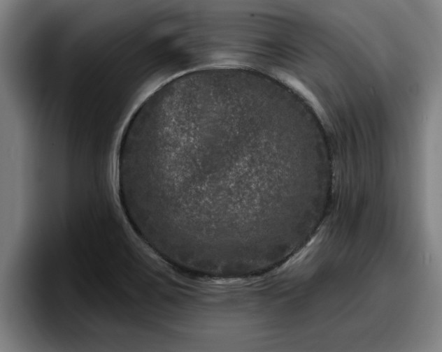 X0000094941467200712061221