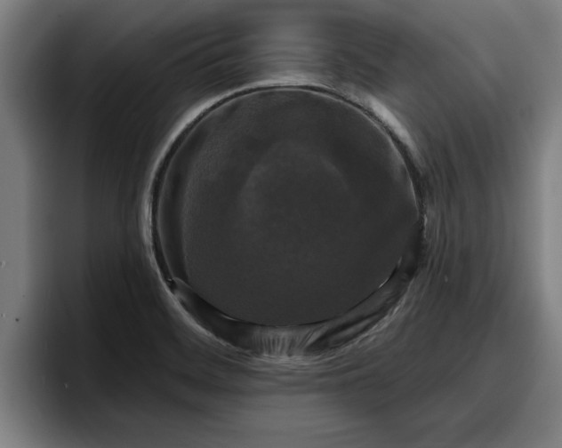 X0000094941468200712061221