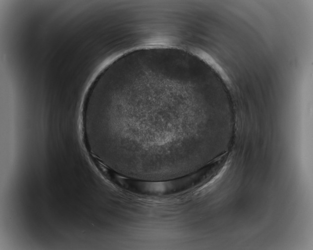 X0000094941469200712061221