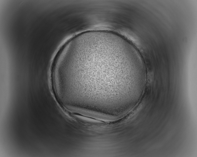 X0000094941470200712061221