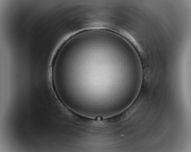 X0000094941472200712061221