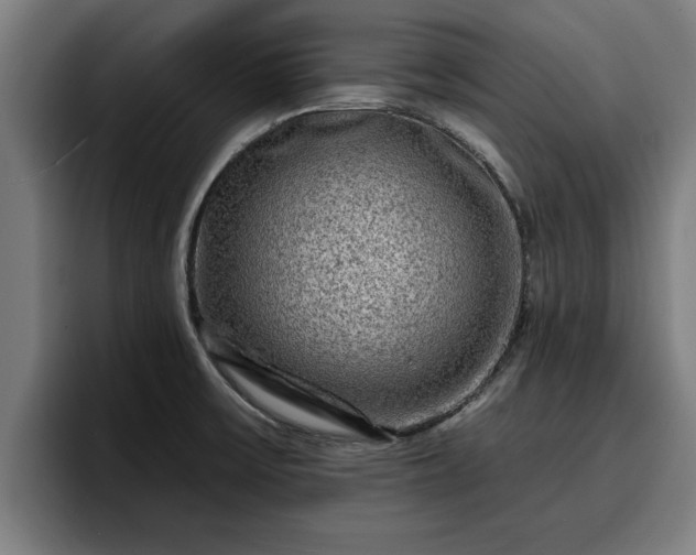 X0000094941475200712061221