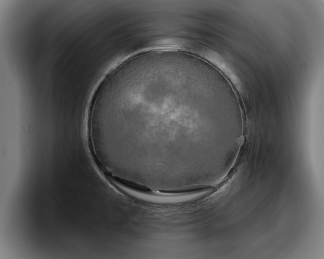 X0000094941477200712061221