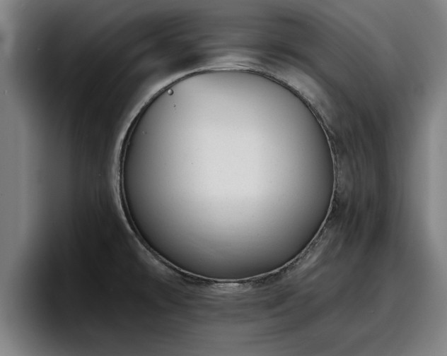 X0000094941478200712061221