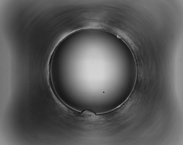 X0000094941479200712061221