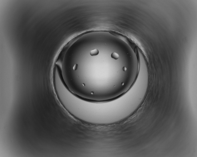 X0000094941480200712061221