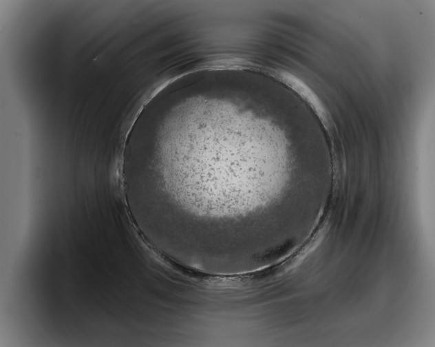 X0000094941481200712061221