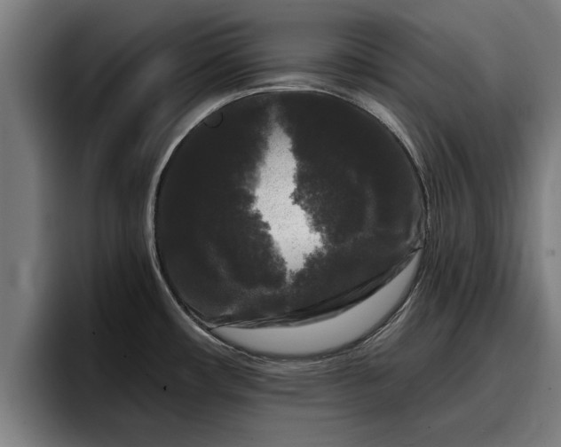 X0000094941482200712061221