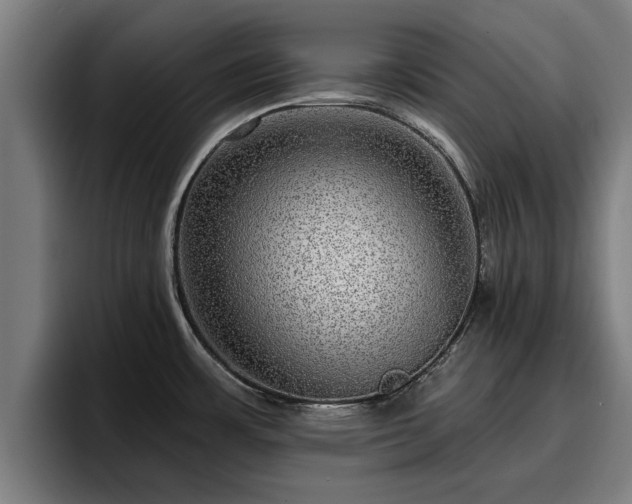 X0000094941483200712061221