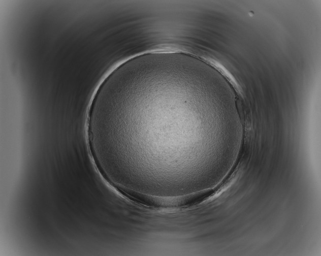 X0000094941484200712061221