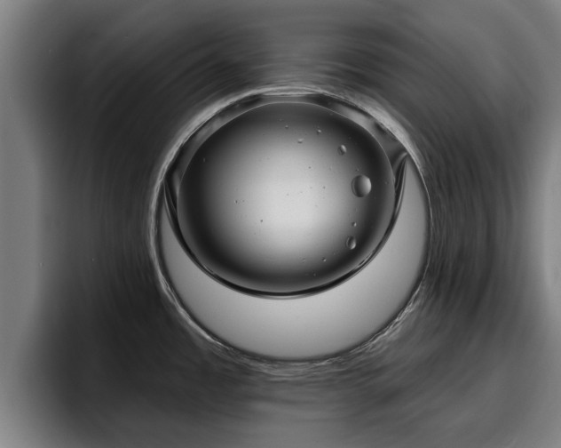 X0000094941485200712061221