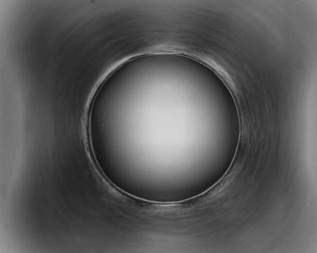 X0000094941486200712061221