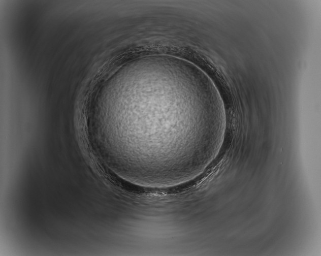 X0000094941489200712061220