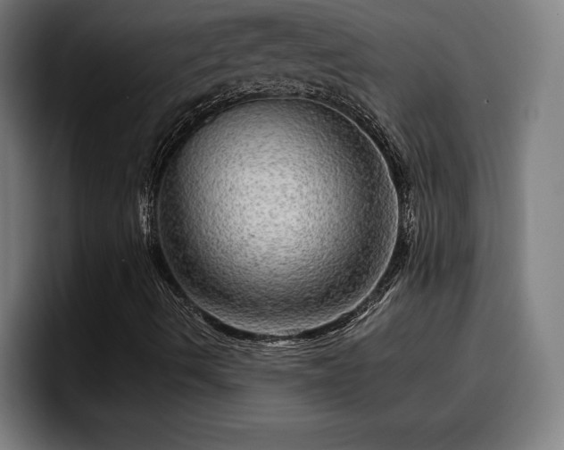 X0000094941490200712061220