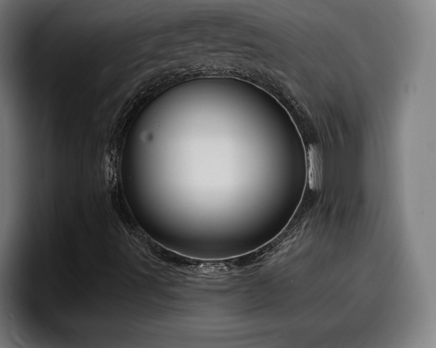 X0000094941491200712061220