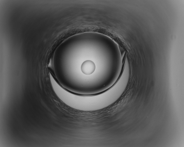 X0000094941492200712061220