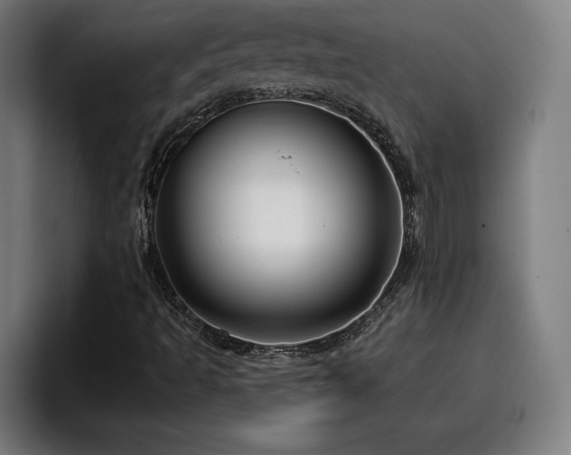 X0000094941493200712061220