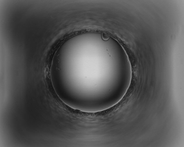 X0000094941495200712061220