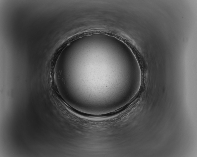 X0000094941496200712061220