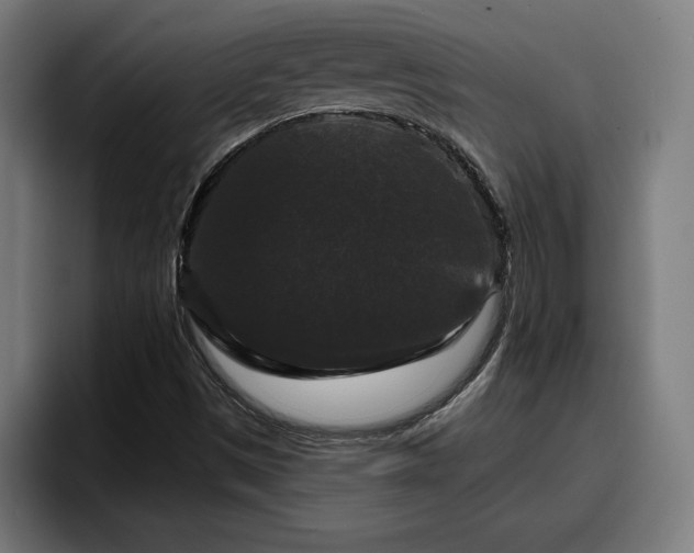 X0000094941497200712061220