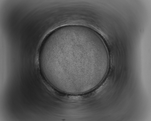 X0000094941498200712061220