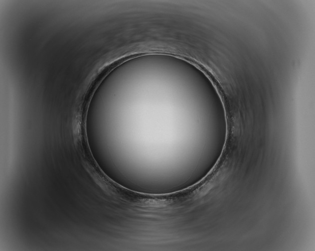 X0000094941499200712061220