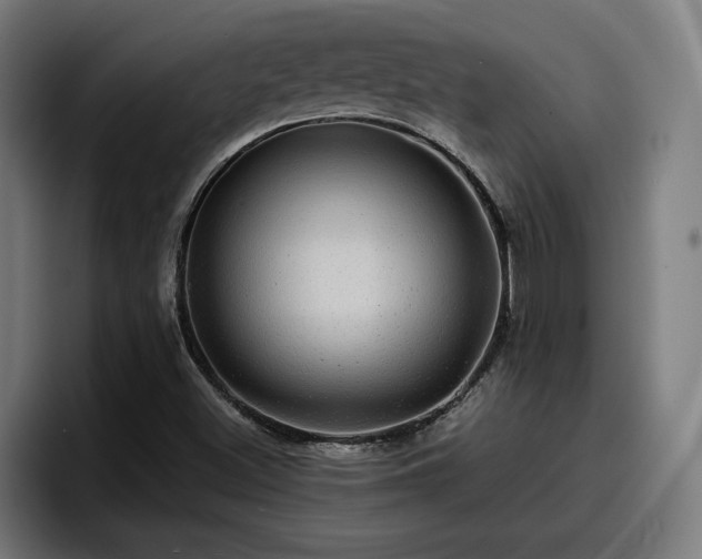 X0000094941500200712061220