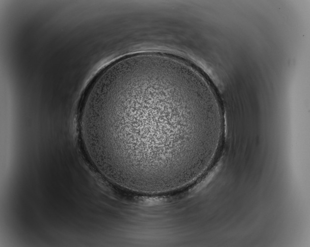 X0000094941501200712061220