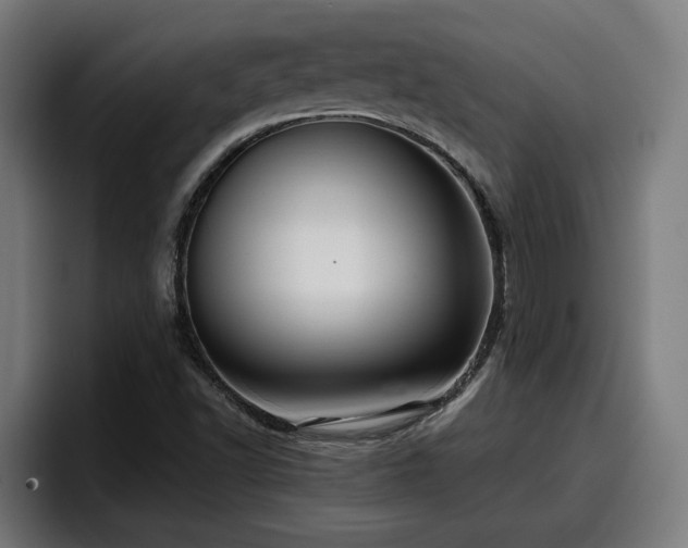 X0000094941502200712061220