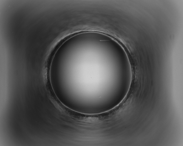 X0000094941503200712061220