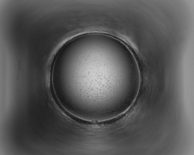 X0000094941504200712061220