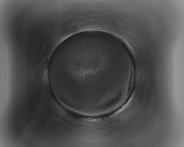 X0000094941505200712061221