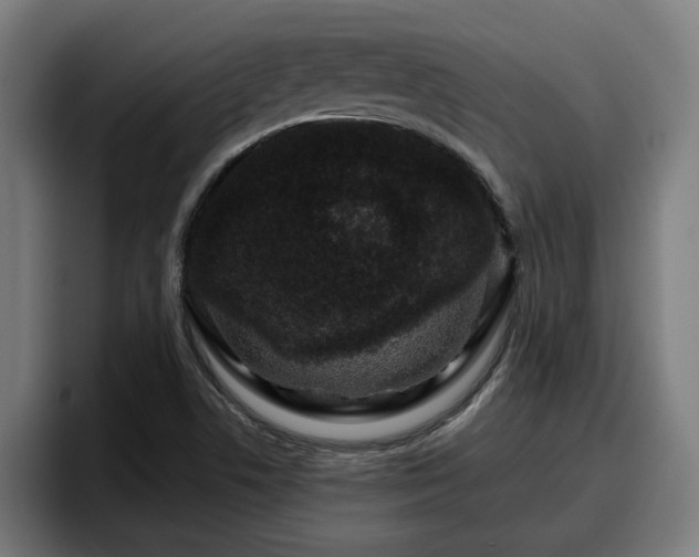 X0000094941506200712061221