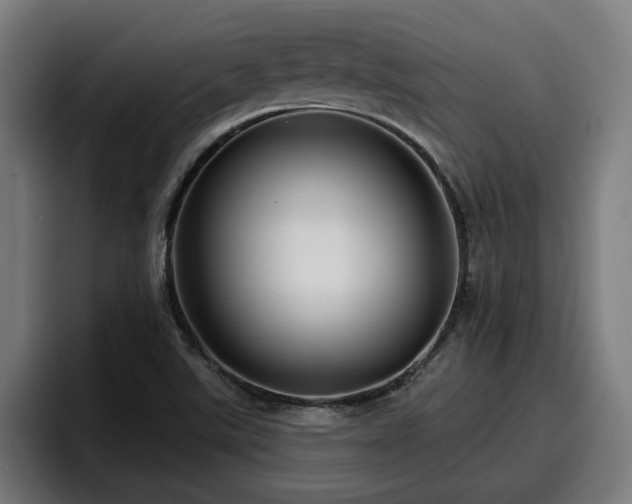 X0000094941507200712061221