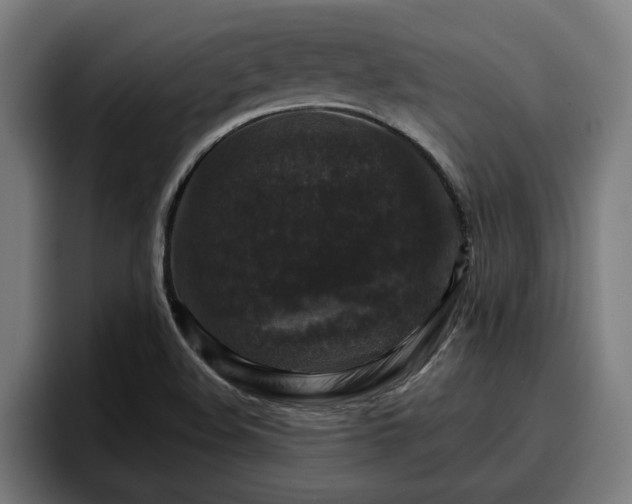 X0000094941508200712061221