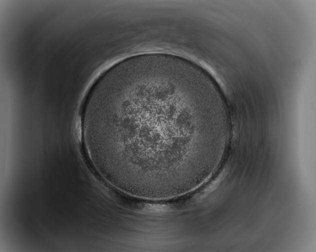 X0000094941509200712061221