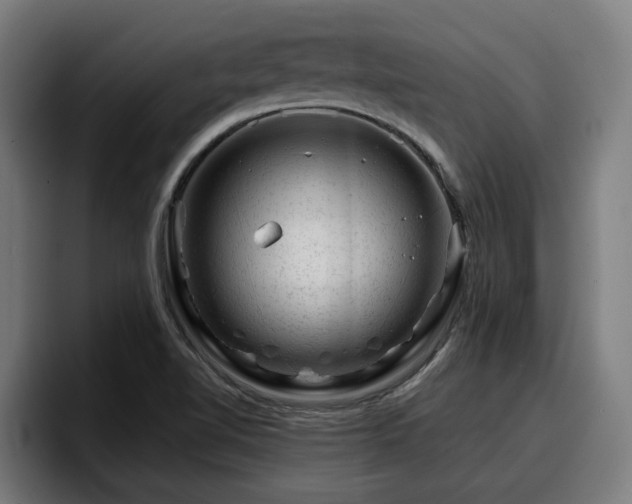 X0000094941510200712061221