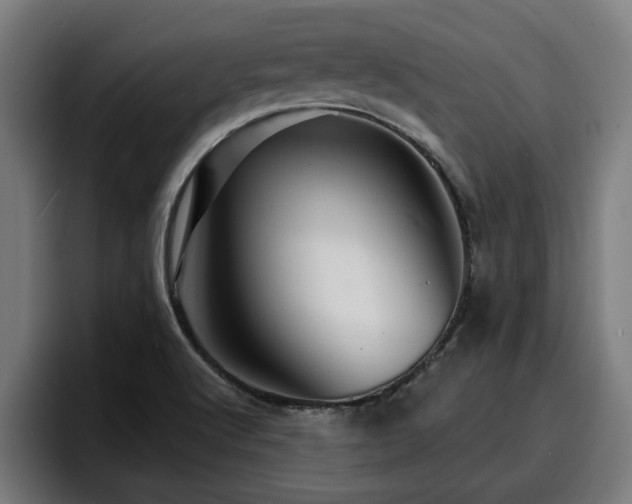 X0000094941512200712061221