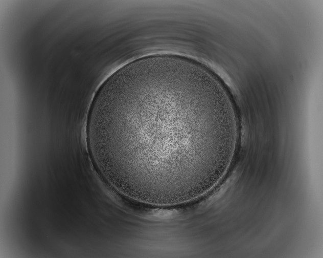 X0000094941513200712061221