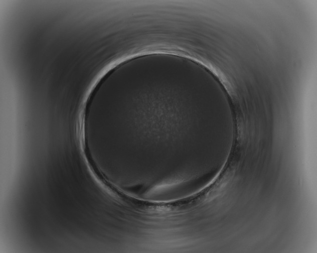 X0000094941515200712061221