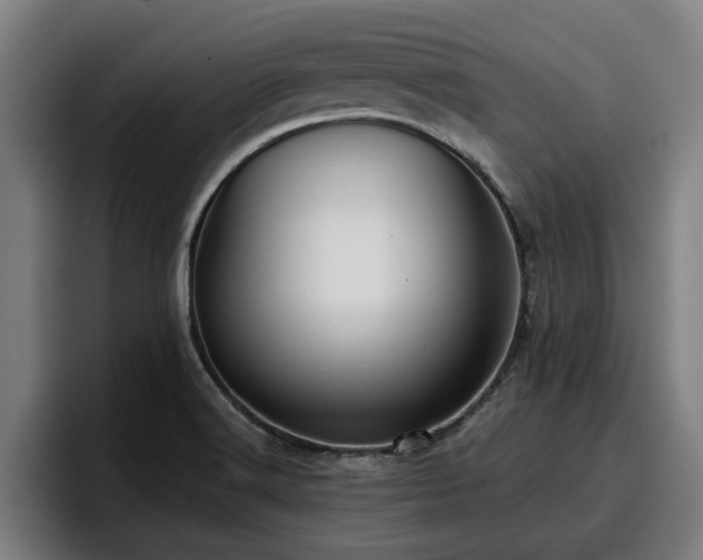 X0000094941516200712061221